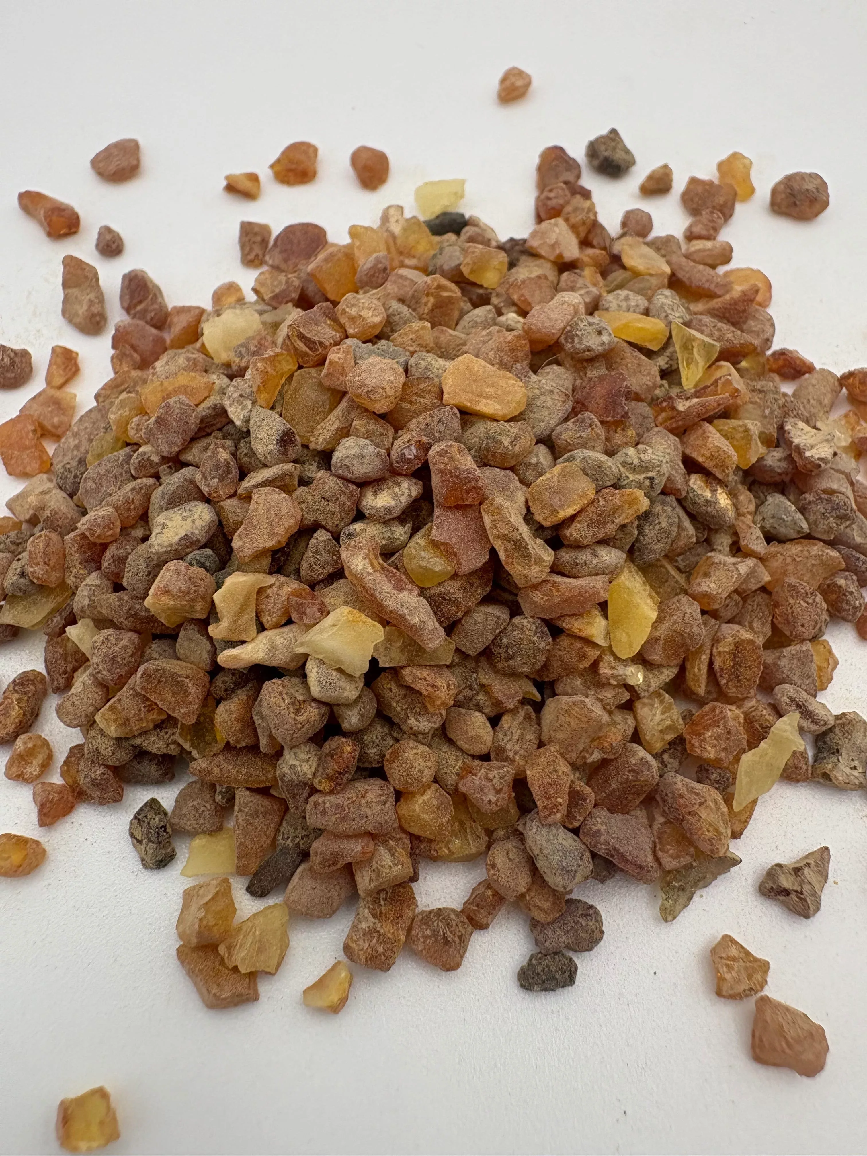 Amber Resin (Pinus succinifera) - Poland