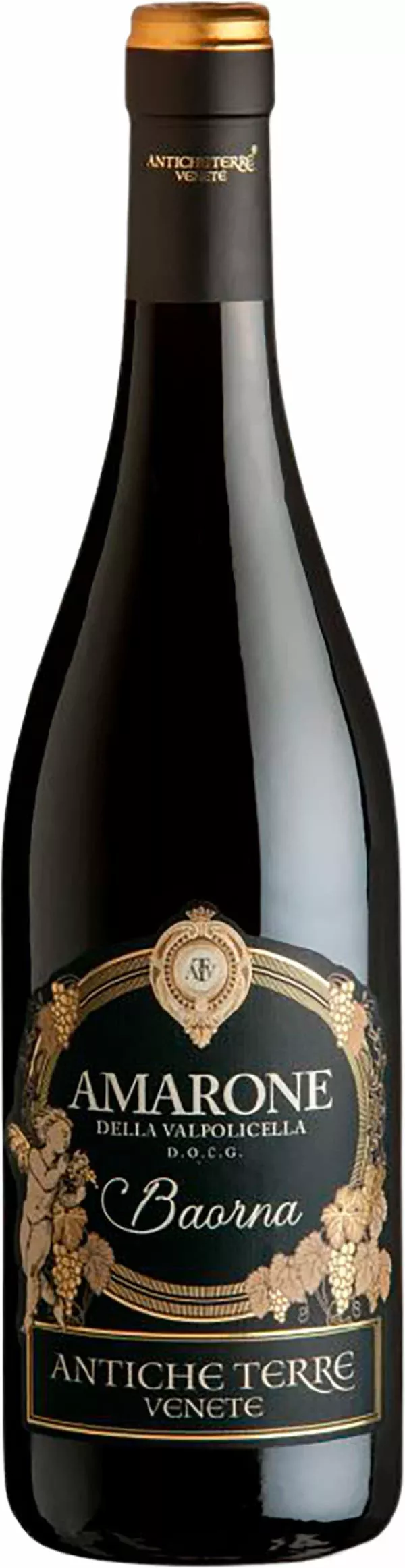Antiche Terre Amarone