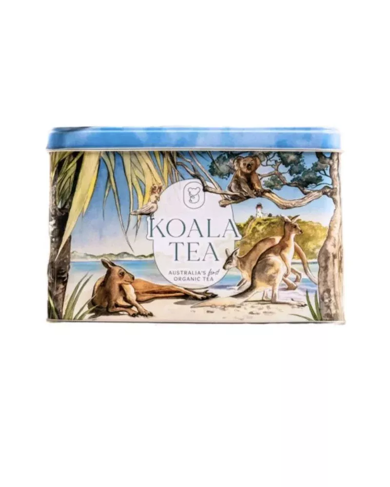 Beach Tin Gift Pack 25 Assorted Tea Bags