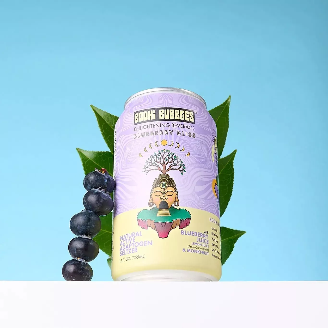 Blueberry Bliss | Adaptogen Sparkling Seltzer