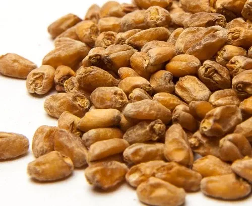 Caramel Wheat 1 LB