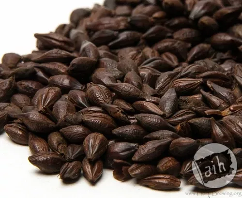 Chocolate Malt 50 lb Bag