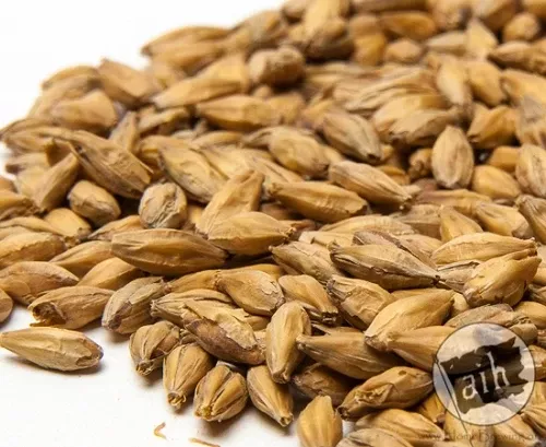 Czech Pilsen Prostejov Malt 1 lb