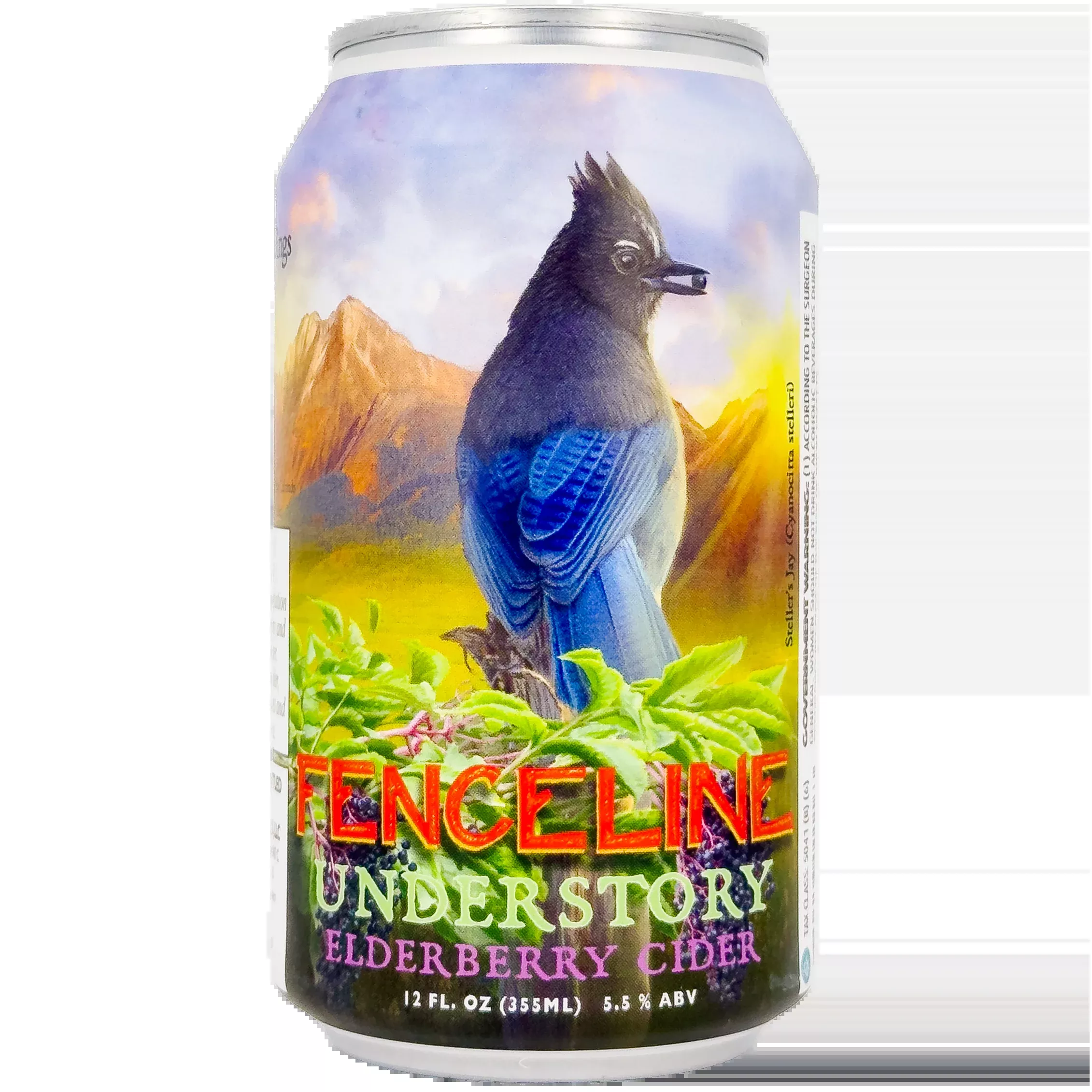 Fenceline 'Understory' Elderberry Cider, Colorado