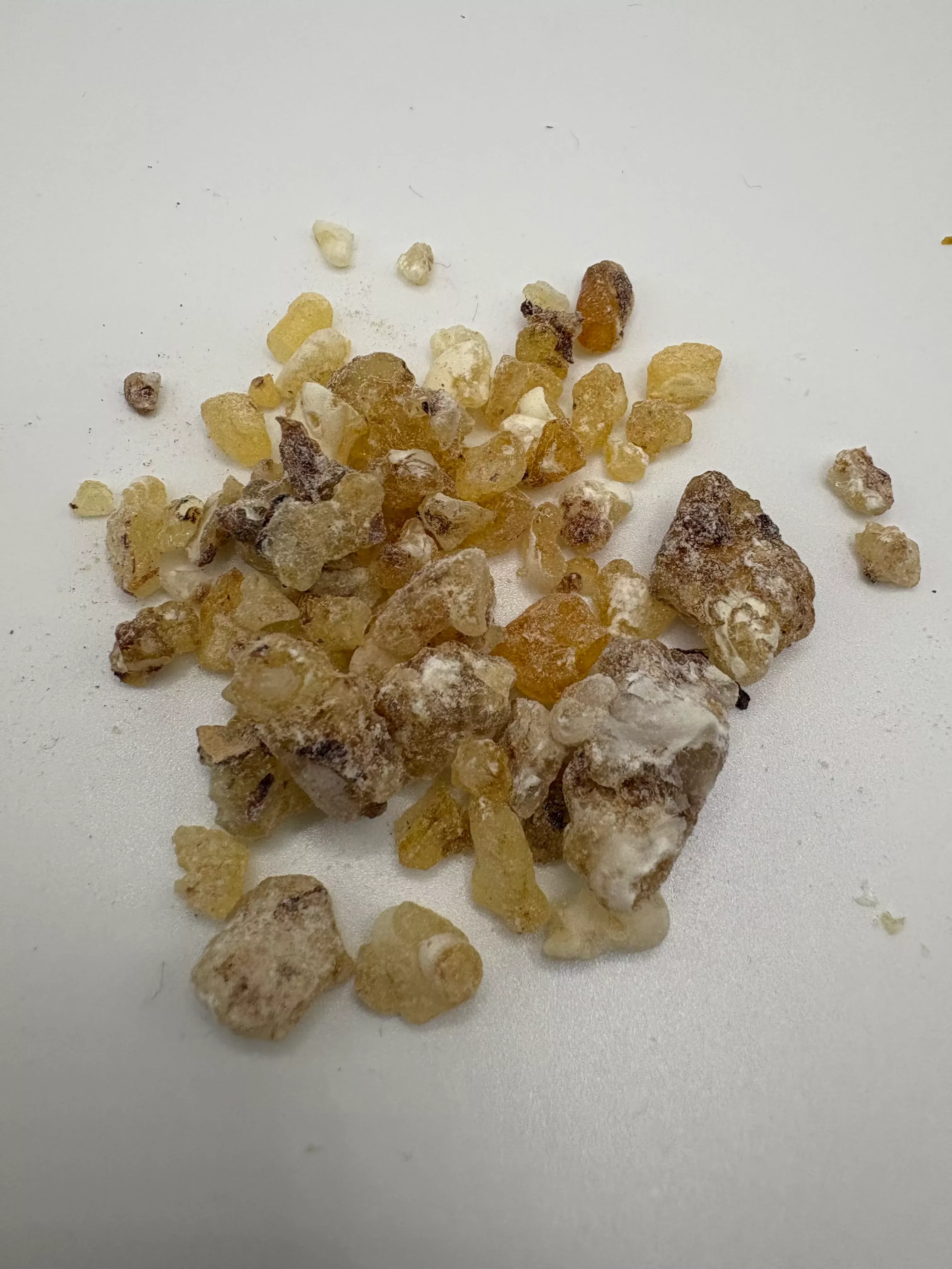 Frankincense Maydi Resin | Boswellia frereana from Somalia