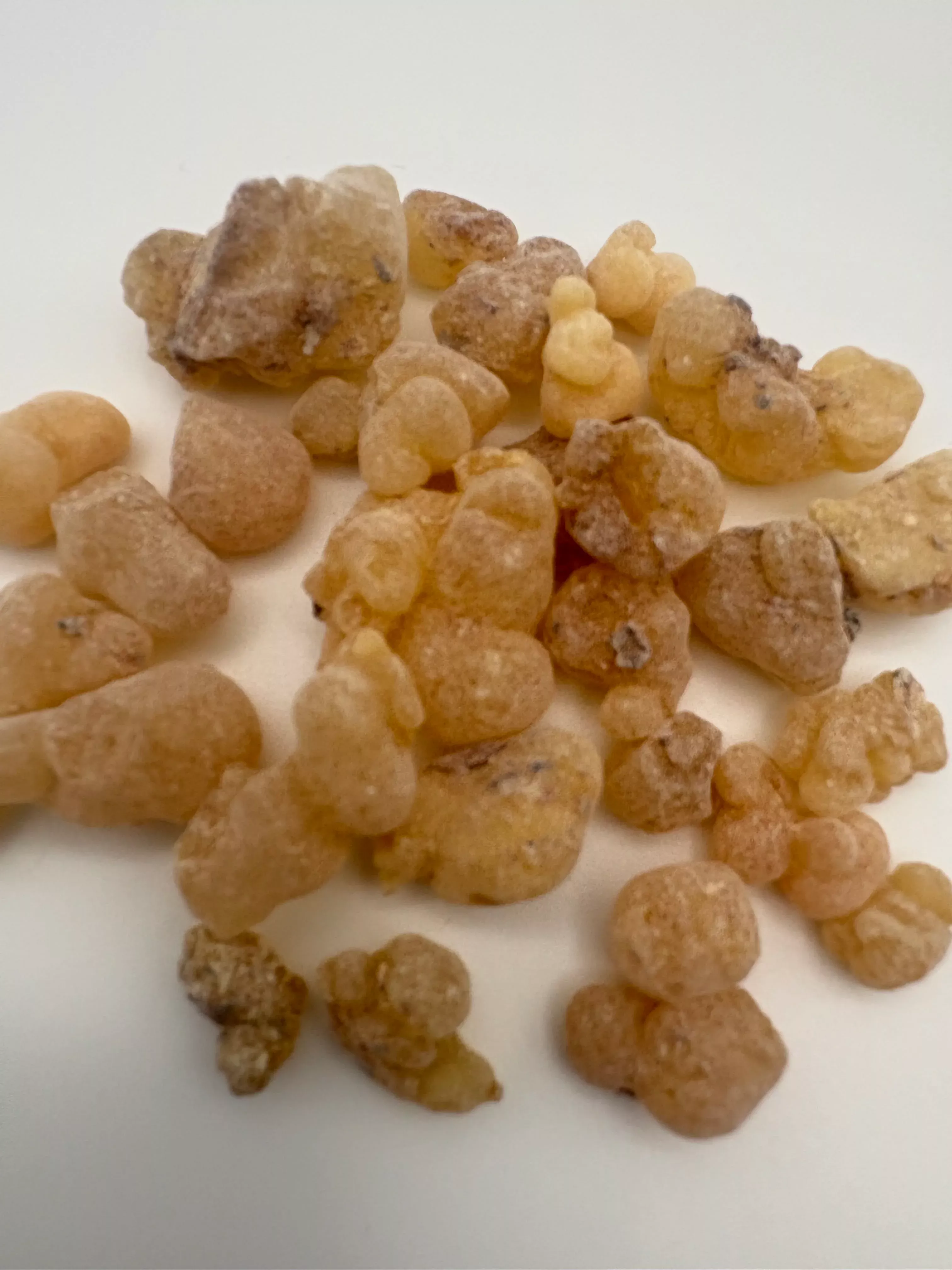 Frankincense Resin | Boswellia papyrifera from Eritrea