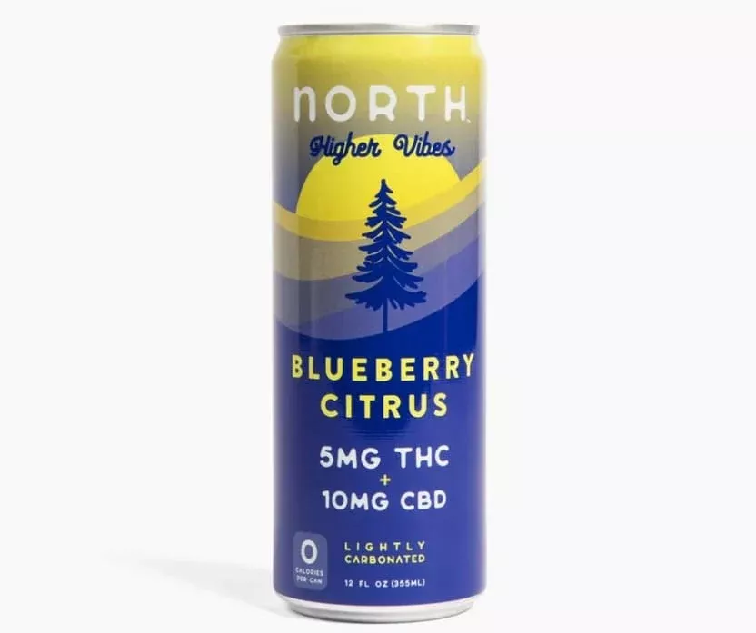 Higher Vibes Blueberry Citrus – THC + CBD Seltzer