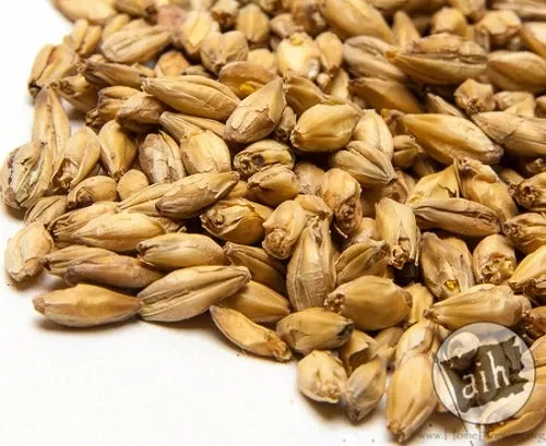 Olandsvete Wheat Malt 50lb Bag - Root Shoot Malting