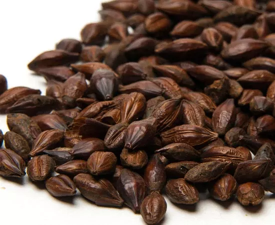 Pale Chocolate 1 lb