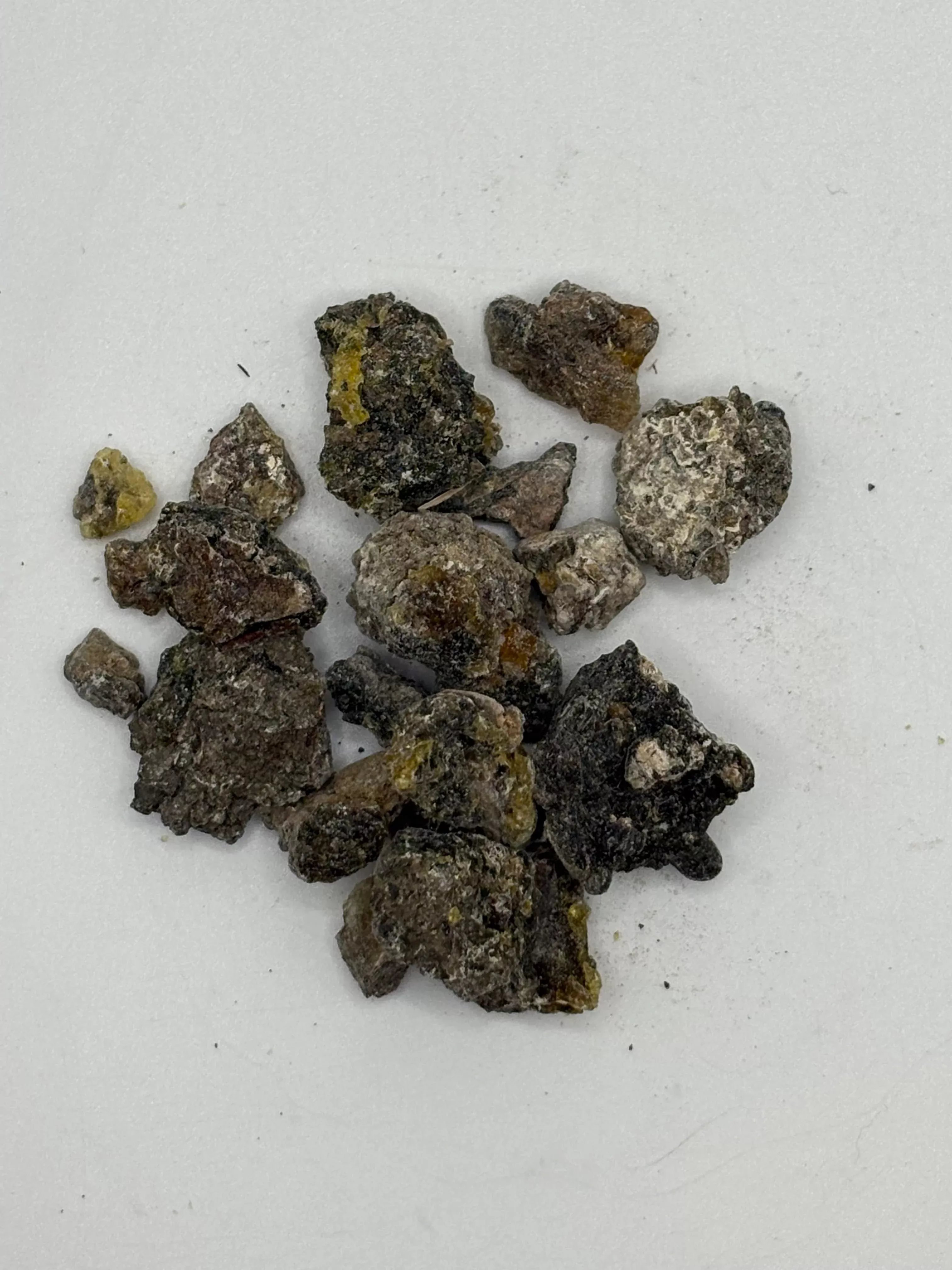 Palo Santo Resin from Peru | Sacred Holy Wood Incense 1oz