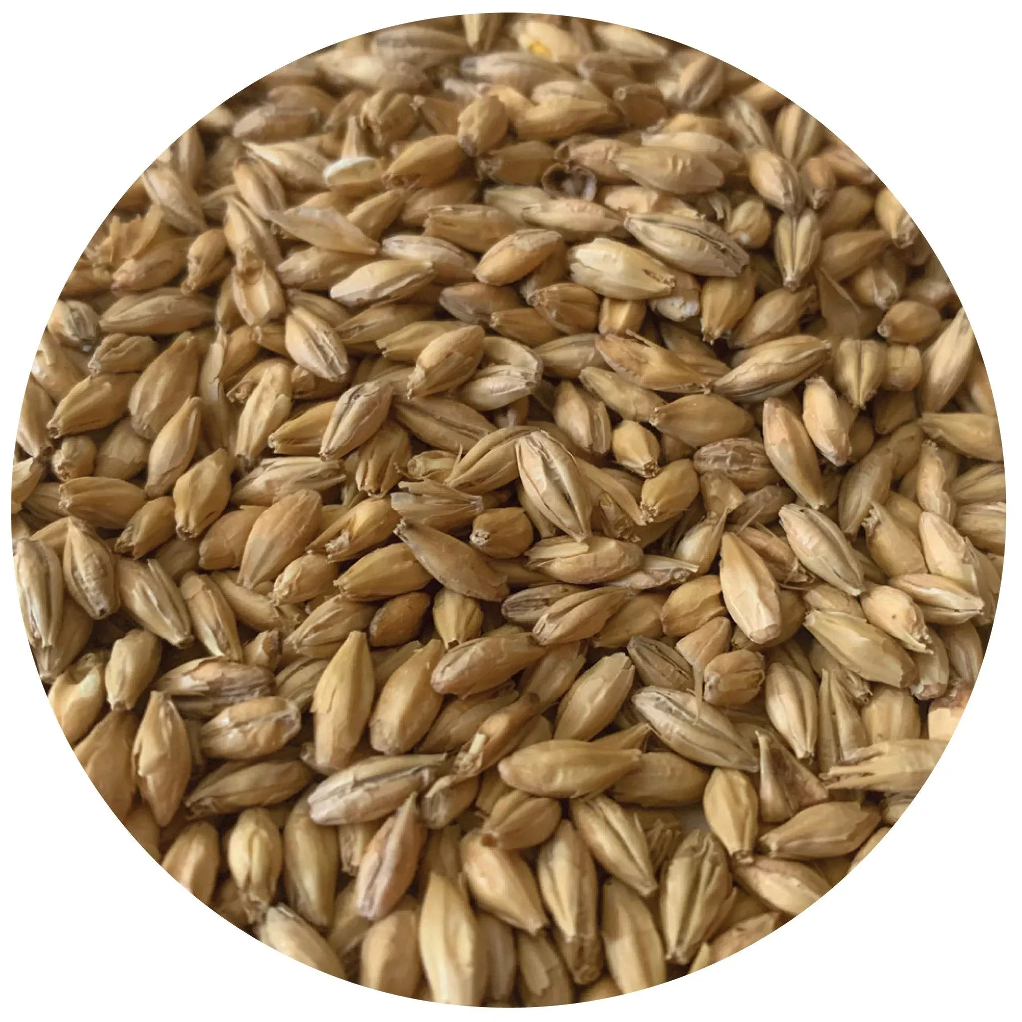 Rahr To Thee Pils - Rahr - 55 lb. Sack