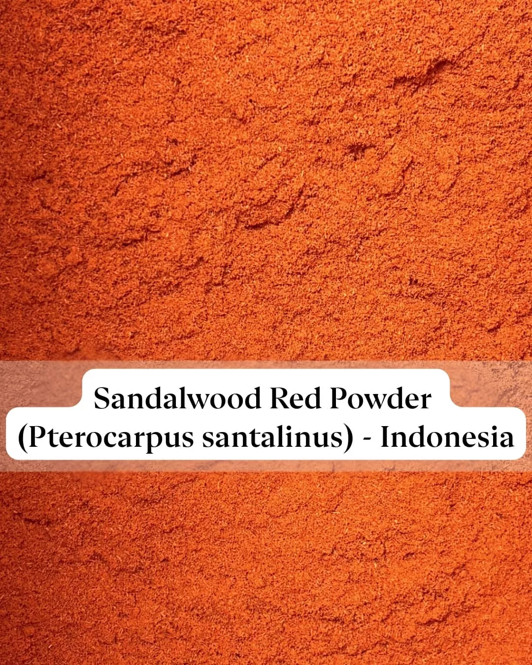 Red Sandalwood Powder | Pterocarpus santalinus 10g