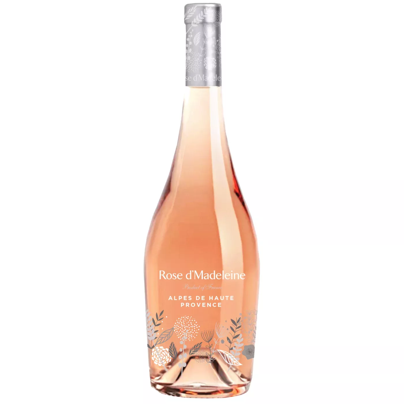 Rose D’ Madeleine Provence