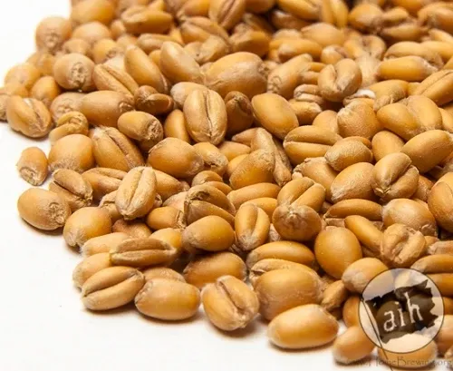 Torrified Wheat 1 lb