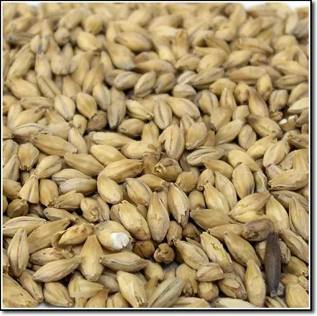 Weyermann Bohemian Pilsner Malted Grain - 55lb Sack